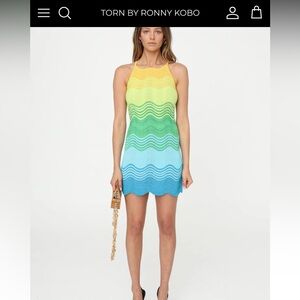Torn by Ronny Kobo Multicolor Mini Dress
